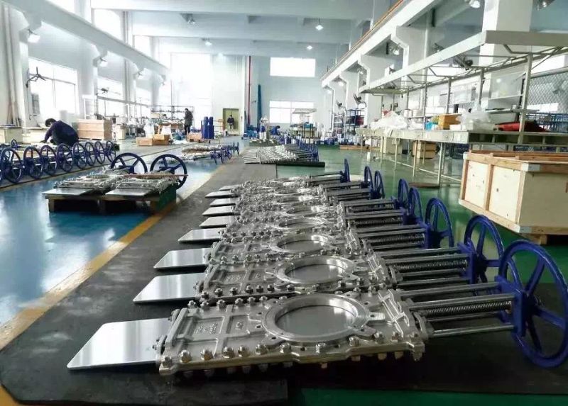 IMG_3931.JPG IMG_3931.JPG